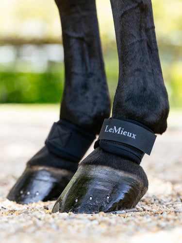 LeMieux Neoprene Pastern Wrap Black