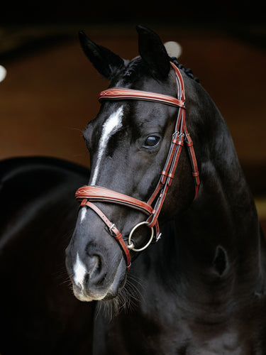 LeMieux Kudos Competition Flash Bridle Chestnut