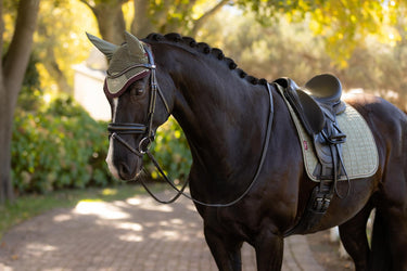 LeMieux Classic Fly Hood Rosemary