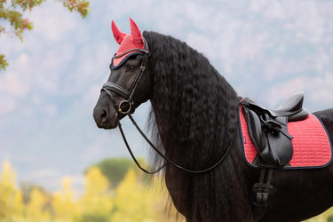 LeMieux Classic Fly Hood Cranberry