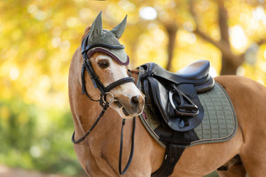 LeMieux Mini Classic Fly Hood Rosemary