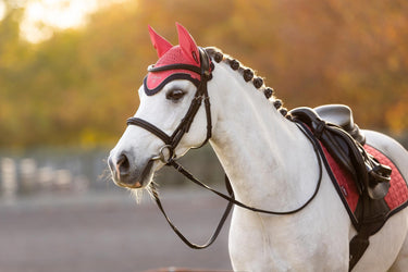 LeMieux Mini Classic Fly Hood Cranberry