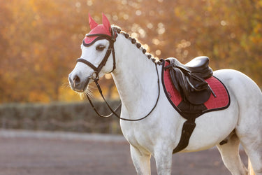 LeMieux Mini Classic Fly Hood Cranberry
