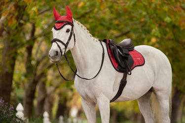 LeMieux Loire Fly Hood Cranberry