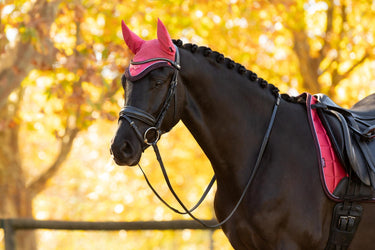LeMieux Loire Fly Hood Cranberry