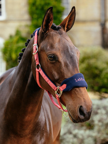 LeMieux Vogue Headcollar & Leadrope Cranberry
