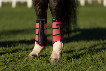 LeMieux Grafter Brushing Boots Cranberry