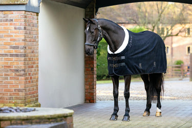 LeMieux Kudos Luxe Fleece Rug Black