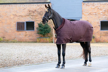 LeMieux Kudos Luxe Lined Stable Rug Damson