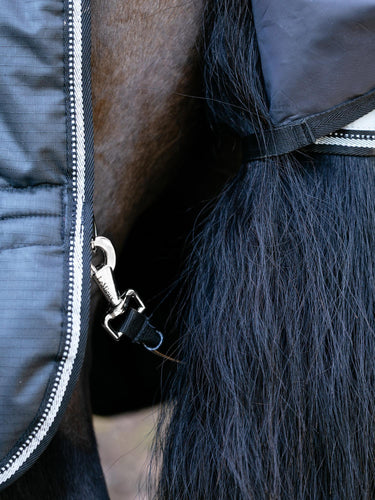LeMieux Arika Reflective 0g Turnout Rug Black