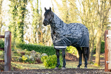 LeMieux Arika Reflective 0g Turnout Rug Black
