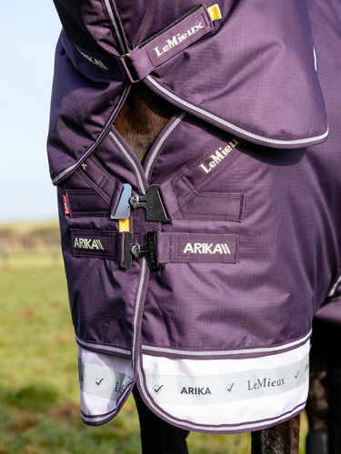 LeMieux Arika Ripstop 200g Turnout Rug Juniper