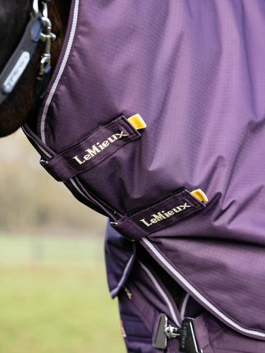 LeMieux Arika Ripstop 100g Turnout Rug Juniper