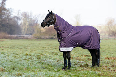 LeMieux Arika Ripstop 100g Turnout Rug Juniper