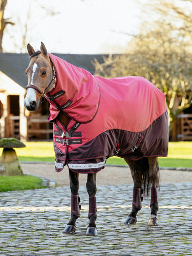 LeMieux Arika Ripstop 0g Turnout Rug Cranberry