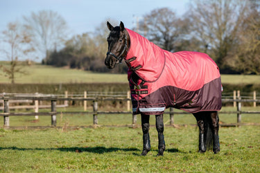 LeMieux Arika Ripstop 0g Turnout Rug Cranberry