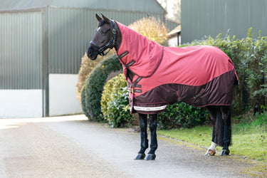 LeMieux Arika Ripstop 0g Turnout Rug Cranberry