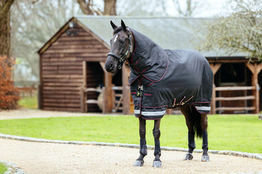 LeMieux Arika Storm-Tek Rug 50g Black