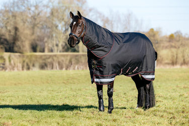 LeMieux Arika Storm-Tek Rug 350g Black