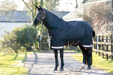 LeMieux Arika Storm-Tek Rug 350g Black