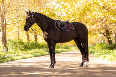 LeMieux Loire Classic Close Contact Square Damson