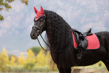 LeMieux Suede Dressage Square Cranberry