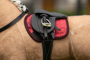 LeMieux Toy Pony Pad Cranberry