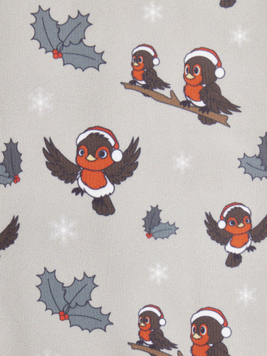 LeMieux Footsie Socks Xmas Robins Almond