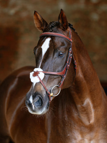 LeMieux Kudos Grackle Bridle Chestnut