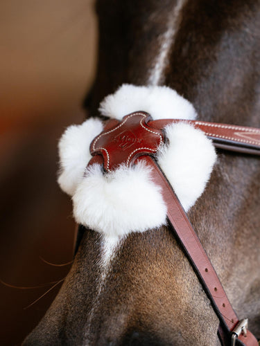 LeMieux Kudos Grackle Bridle Chestnut