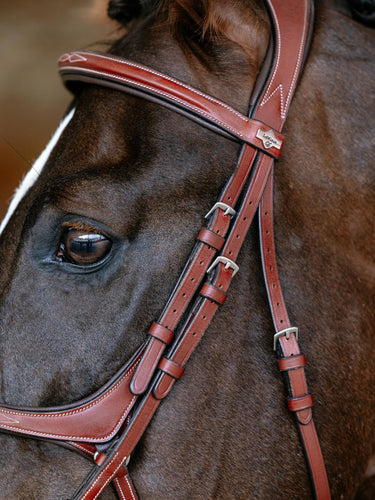 LeMieux Kudos Grackle Bridle Chestnut
