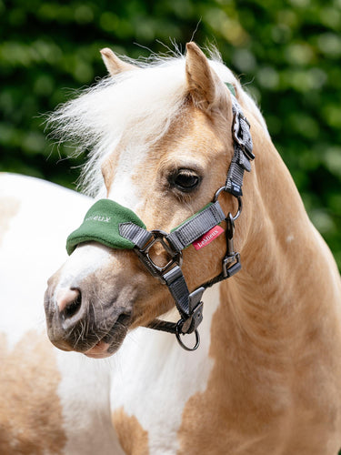 LeMieux Mini Vogue Headcollar & Leadrope Hunter Green