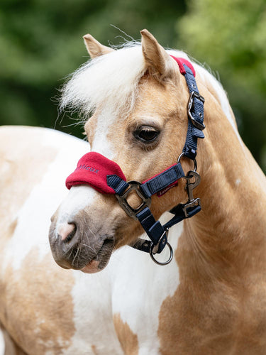LeMieux Mini Vogue Headcollar & Leadrope Burgundy