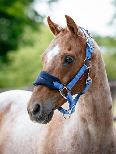 LeMieux Mini Vogue Headcollar & Leadrope Benetton