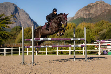 LeMieux Essence Eurojump Square Damson