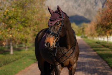 LeMieux Essence Fly Hood Damson