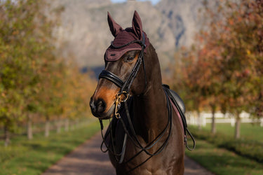 LeMieux Essence Fly Hood Damson