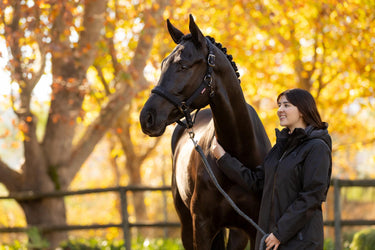 LeMieux Essence Headcollar Black
