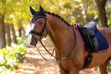LeMieux Classic Fly Hood Navy/Cranberry