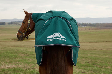Weatherbeeta Comfitec Plus Dynamic Turnout Detach-A-Neck 0G Forest Green/ Navy| Online For Equine