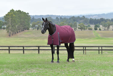 Weatherbeeta Comfitec Essential Turnout 50G Burgundy/ Navy