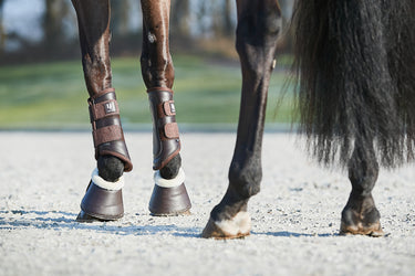 Horseguard Lux Dressage Boots