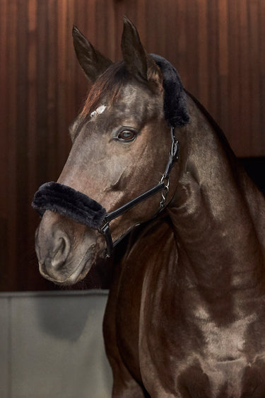 Catago Leather Halter With Faux Fur