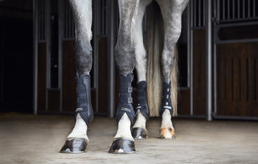 Catago Hybrid Dressage Boot