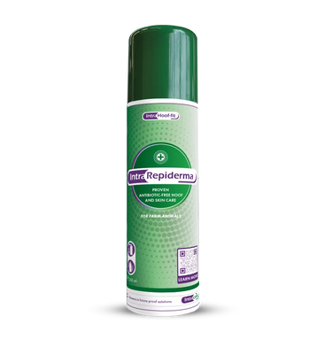 Intracare Repiderma| Online For Equine