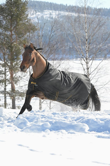 Bucas Irish Turnout 300g High Neck Rug
