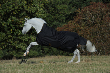 Bucas Irish Turnout 300g High Neck Rug