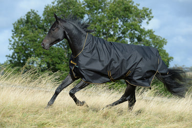 Bucas Irish Turnout 50g High Neck Rug