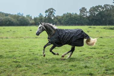 Bucas Irish Turnout 100g Rug