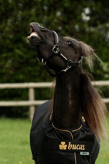 Bucas Irish Turnout 50g Pony Rug
